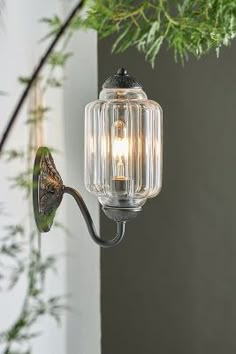 a light that is on the side of a wall next to a plant with leaves