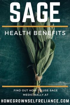 sage health benefits and how to use sage