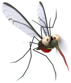 a mosquito with two eyes on it's back legs, standing against a white background