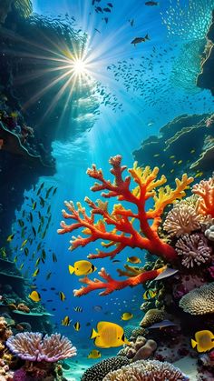 an underwater scene with corals and fish in the water, surrounded by blue water