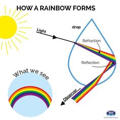 How Is Rainbow Formed, How Rainbow Is Formed For Kids, How Rainbows Are Formed, Rainbow Facts, Science Diagrams, Chemistry Basics, Learn Physics