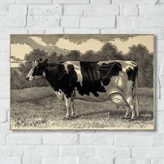 a black and white cow standing on top of a grass covered field next to a brick wall