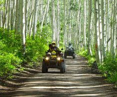 two people on four wheelers riding through the woods in front of some tall trees