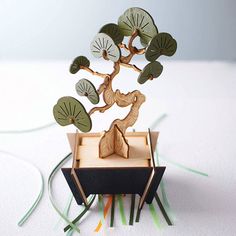 a small wooden tree with leaves on it's trunk and roots in a box