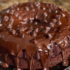 a chocolate cake with chocolate chips on top