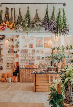 the interior of a flower shop with lots of hanging plants and potted plants on the wall