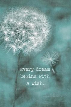 a dandelion with the words, every dream begins with a wish