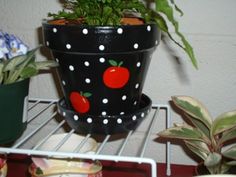 a potted plant sitting on top of a metal shelf