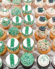 cupcakes decorated with green and white frosting