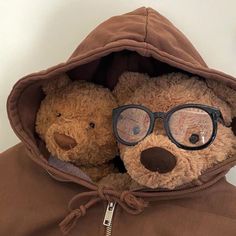 two brown teddy bears wearing glasses under a hoodie