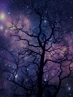 the night sky is filled with stars and trees