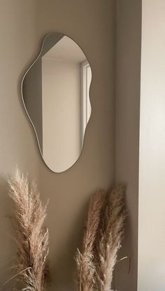 the mirror is hanging on the wall next to some dry grass and pamodia