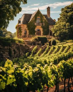 an old house surrounded by vines and trees