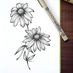 a drawing of two daisies on a sheet of paper next to a marker pen