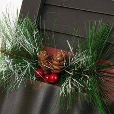 pine cones and berries are on the table