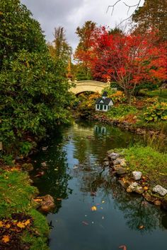 a small bridge over a river surrounded by trees with red and yellow leaves on it