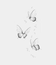 three butterflies flying in the air on a white background with drops of water coming from them