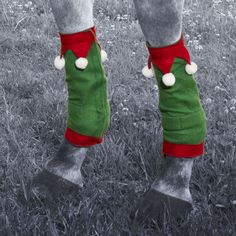 the legs and feet of a horse wearing christmas socks