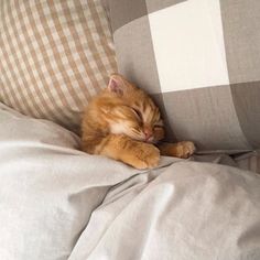 an orange tabby cat sleeping on top of a bed with white and brown pillows