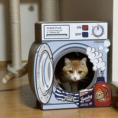 an orange and white cat sitting in a washing machine shaped like a washer with the door open