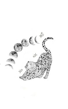 a black and white drawing of a cheetah reaching for the moon with its tail