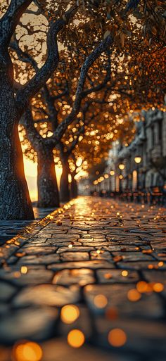 the sun is setting on an empty street with many trees and buildings in the background