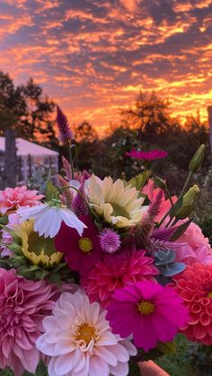 a vase filled with lots of colorful flowers on top of a wooden table in front of a sunset