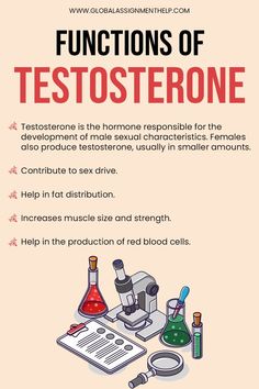 an info sheet describing the functions of testosterone and how to use it