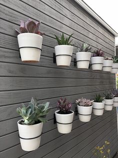 there are many potted succulents hanging on the side of this house