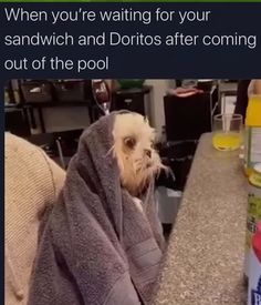 a dog wrapped in a towel sitting on top of a counter next to a bottle