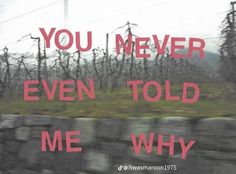 the words you never even told me why are they? written in red on a window