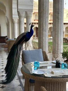 a peacock standing on top of a table next to a chair