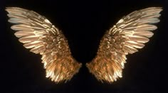 two gold angel wings on a black background