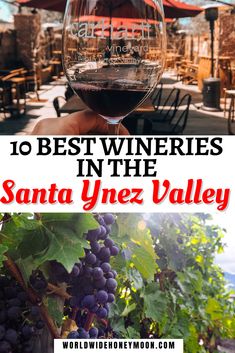 a person holding up a glass of wine with the words 10 best wines in the santa ynez valley