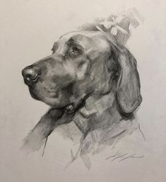 a black and white drawing of a dog