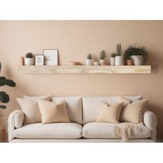 a living room filled with furniture and potted plants on top of a shelf above the couch