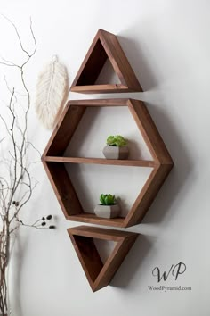 three wooden shelves with plants in them on the wall next to a vase and plant