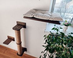 a cat tree with a bed on top and a plant in the corner next to it