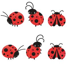 four ladybugs with different designs on them