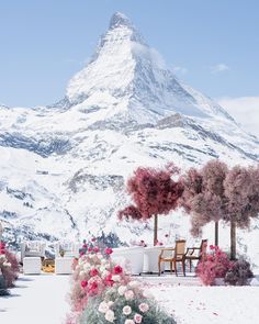 an outdoor dining area in front of a snow covered mountain with flowers on the ground