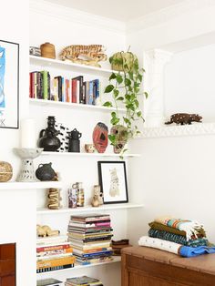 a living room filled with lots of books and plants