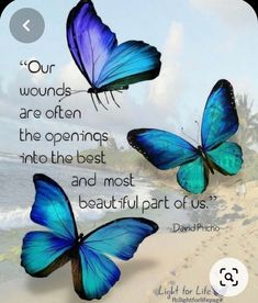 two blue butterflies with the quote our words are often the openings into the best and most beautiful part of us