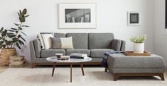 a living room with a couch, coffee table and potted plant