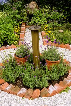 a garden filled with lots of plants and flowers