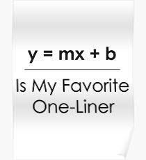 a white poster with the words y = m + b is my favorite one - liner