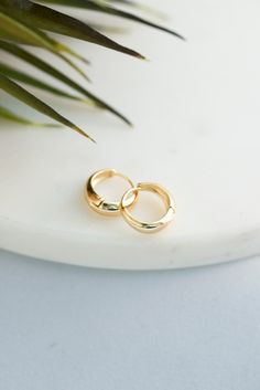 Our Shae Huggie Hoop Earrings are a perfect, everyday earring! Made with gold filled metal and copper. 14mm. Simple Gold Hoop Earrings, Gold Small Hoop Earrings, School Earrings, Earrings Small Hoops, Stacking Earrings, Layer Jewelry, Stacked Earrings, Hoops Gold, Earrings Trendy