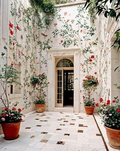 an entry way with potted plants and flowers on the wall