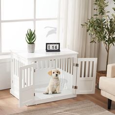 a small dog sits in its pet crate next to a window with a clock on it