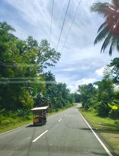 a person riding a motorcycle down the middle of a road next to a lush green forest