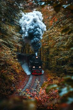 a train traveling through a forest filled with lots of trees covered in fall colored leaves